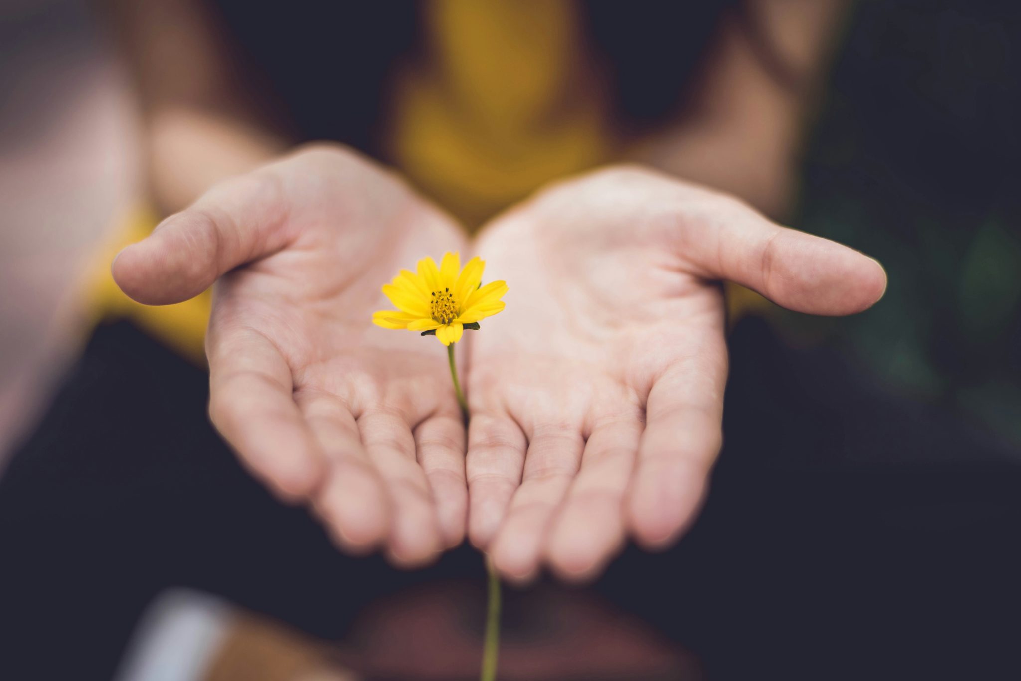 choosing-caring-and-respect-kate-frykberg