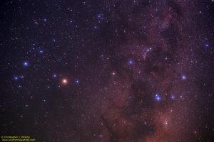 Te Ara – the Encyclopedia of New Zealand, https://teara.govt.nz/en/photograph/7920/scorpius